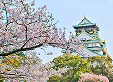 今日转会新闻：巴塞罗那重新考虑拉什福德，约凯雷斯接近加盟枪手